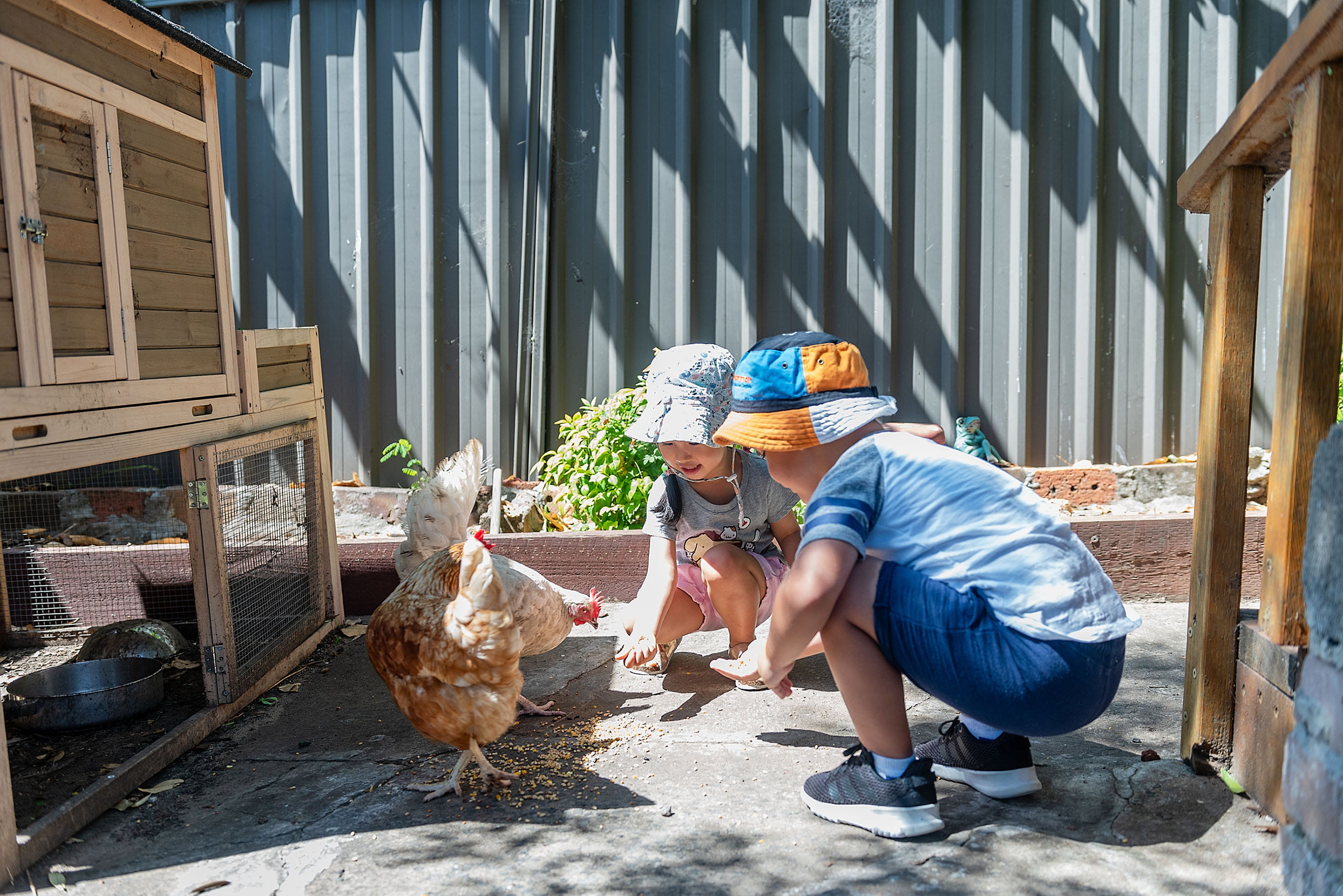 Kids with chickens at First Grammar day care